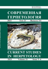 Species New to Science: [Herpetology • 2020] Atheris hetfieldi